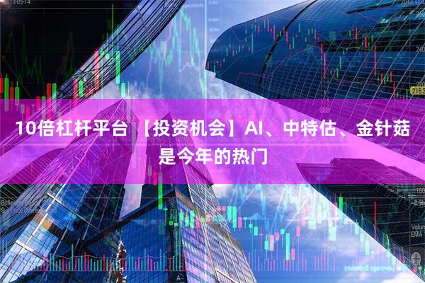 10倍杠杆平台 【投资机会】AI、中特估、金针菇是今年的热门