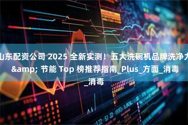山东配资公司 2025 全新实测！五大洗碗机品牌洗净力 & 节能 Top 榜推荐指南_Plus_方面_消毒