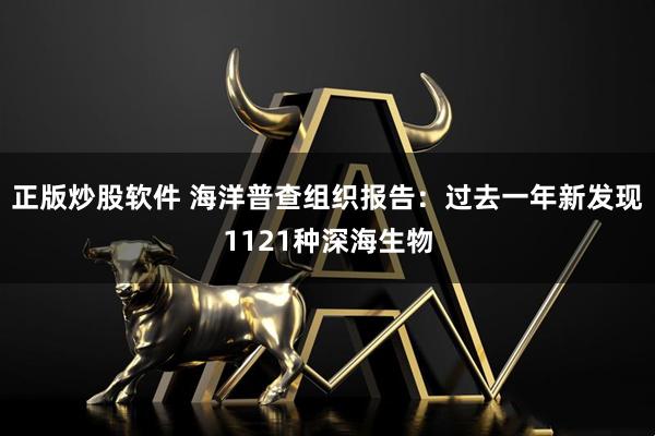 正版炒股软件 海洋普查组织报告：过去一年新发现1121种深海生物